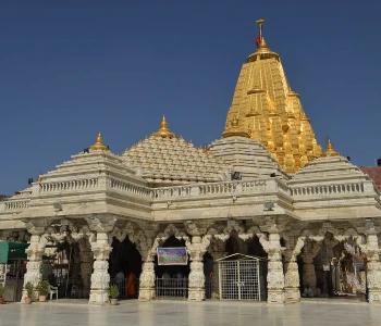 Atulya Gujarat Darshan Statue Of Unity / Gir Group Tour