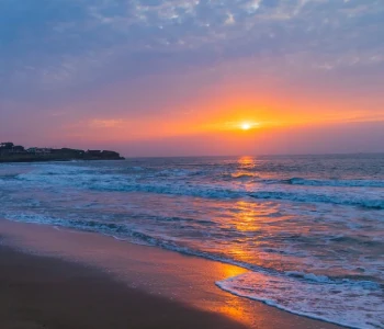 Wildlife & Beach of Gujarat: Gir with Diu Group Tour Package