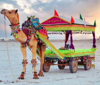 Kutch, Bhuj and Rajkot Group Tour Package