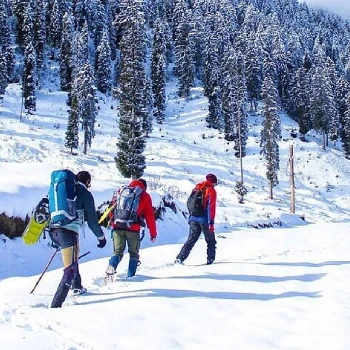 Royal Kashmir Group Tour Package