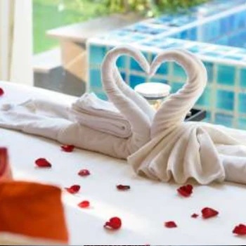 Mussoorie & Dhanaulti Honeymoon Tour Package