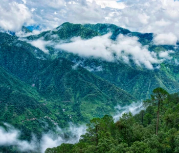 Lansdowne Group Tour Package