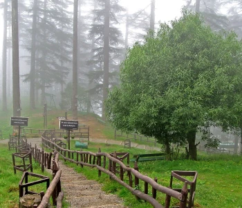 Mussoorie & Dhanaulti Group Tour Package